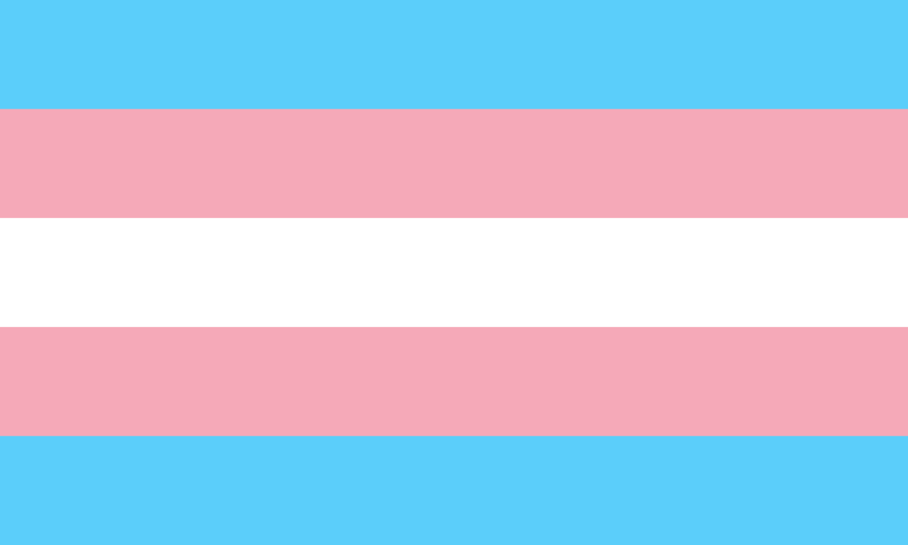 1280px-transgender_pride_flagsvg